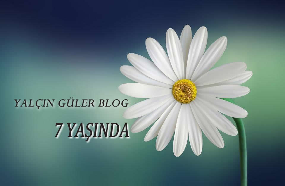 Yalçın Güler Blog 7 Yaşında