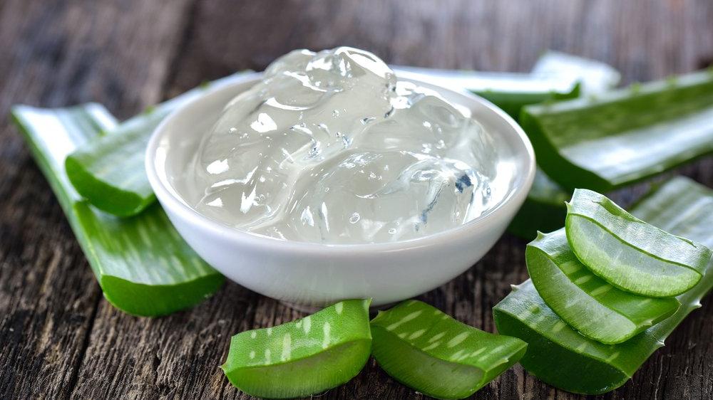 Son Yılların Popüleri: Aloe Vera