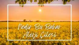 Nedir Bu Bahar Alerji Çilesi