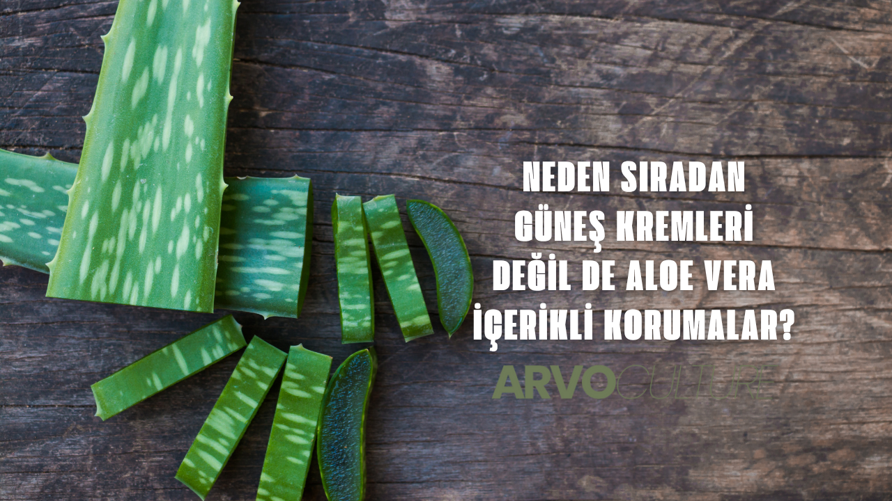 Neden Sıradan Güneş Kremleri Değil de Aloe Vera İçerikli Korumalar?